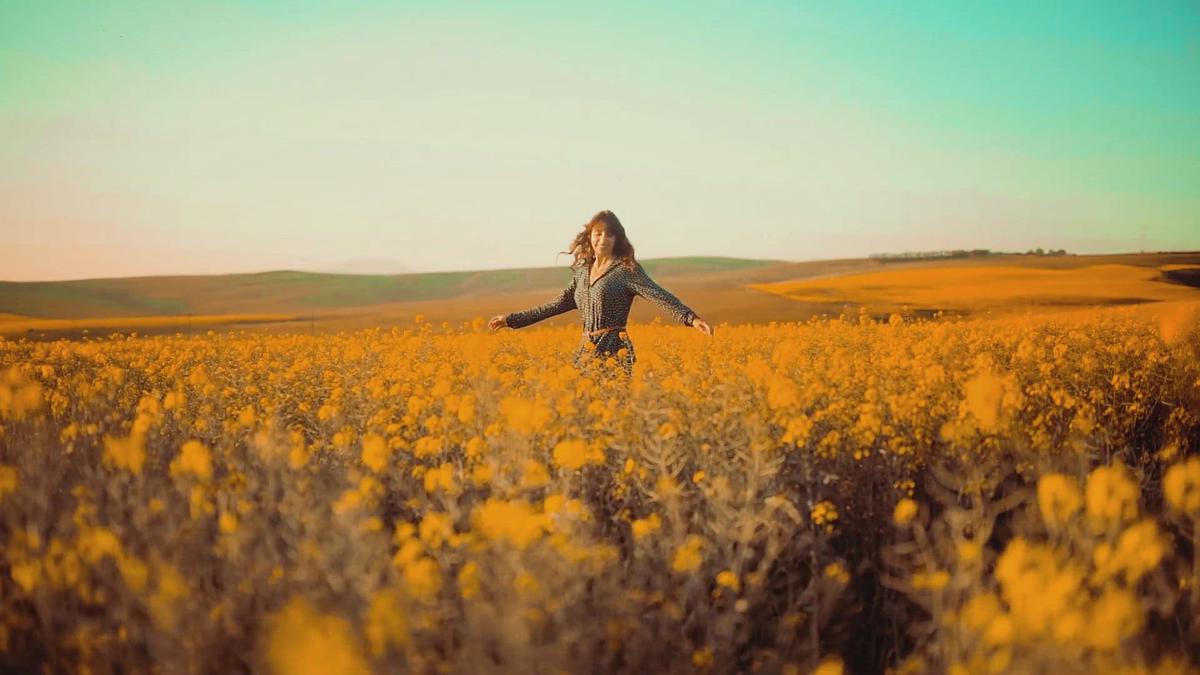 Humix video