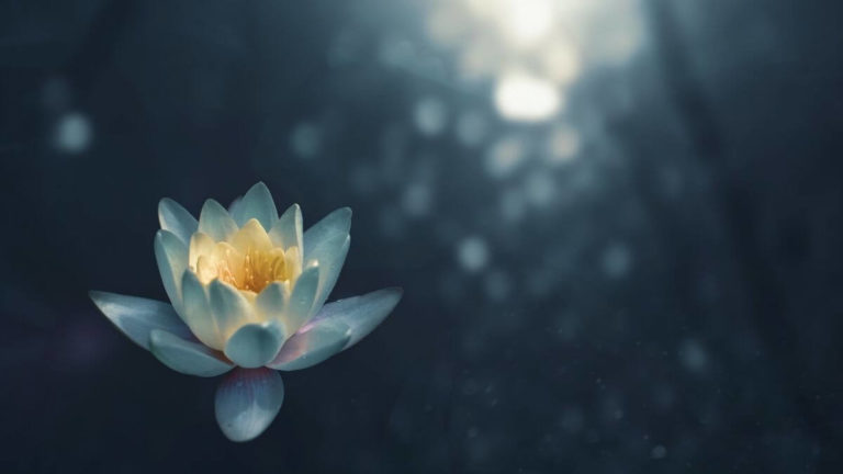 Die 100+ schönsten Lebensweisheiten der Antike Lebensweisheiten der Antike Sprüche, die bis heute relevant sind